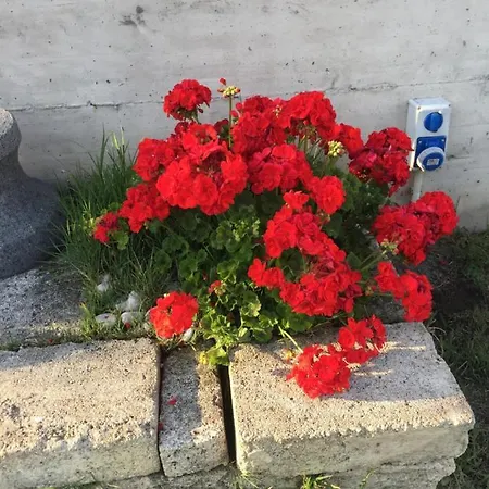 Camera Con Giardino E Piscina Pensión