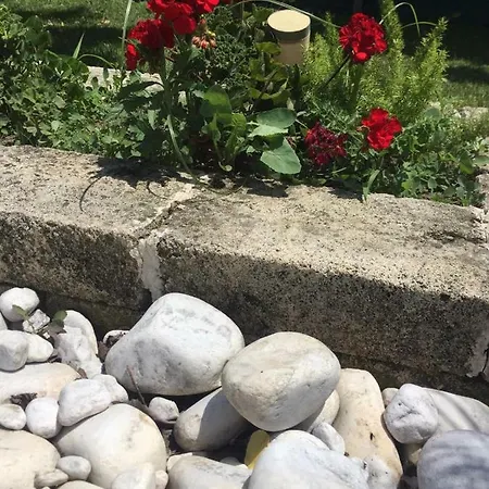 Camera Con Giardino E Piscina Gasthuis