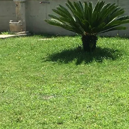 Camera Con Giardino E Piscina Pensión *